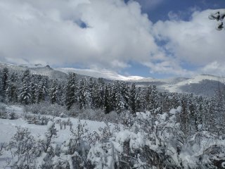 IMG_20210521_101004.jpg