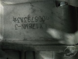 sn1.jpg