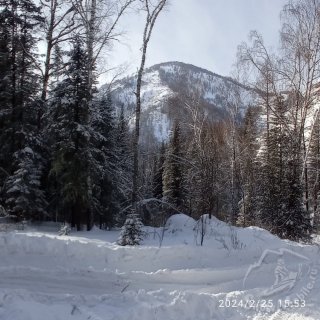 Изображение WhatsApp 2024-02-25 в 20.05.57_c533b142.jpg