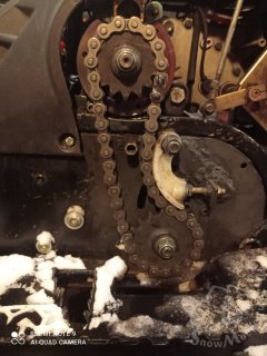 IMG_20240314_132521.jpg