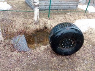 IMG_20240602_140342.jpg