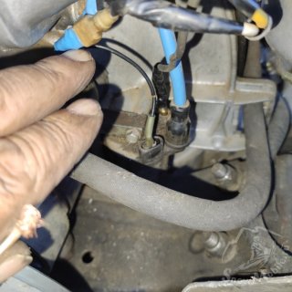 IMG_20240629_212229.jpg