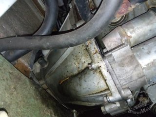 IMG_20241020_094952.jpg