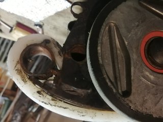 IMG_20241030_102620.jpg