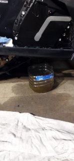 IMG_20241114_095030.jpg