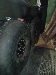 IMG_20250407_194935.jpg