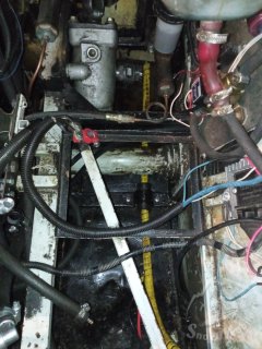 IMG_20250420_102054.jpg