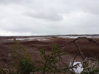 IMG_20250519_124400.jpg