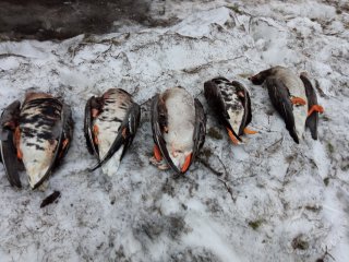 IMG_20250515_190346.jpg