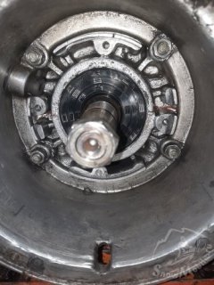 20250724_073755.jpg