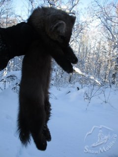 IMG_6836.JPG IMG_6836.JPG