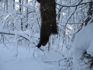 IMG_6842.JPG IMG_6842.JPG