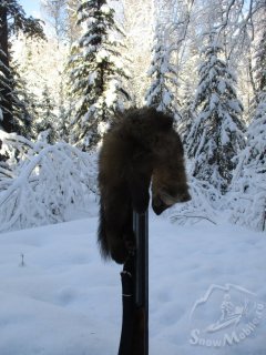 IMG_6844.JPG IMG_6844.JPG