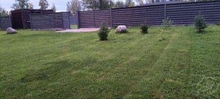 IMG_20260215_105620_602.jpg