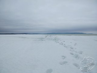 IMG20260315110909.jpg