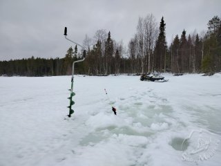 IMG20260315105234.jpg