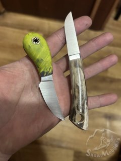 IMG_8792.jpeg