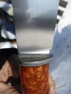 IMG_7144.JPG