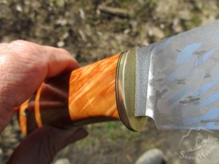 IMG_7210.JPG