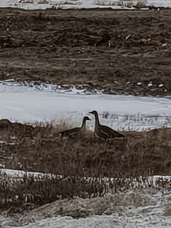 IMG20260508210835.jpg