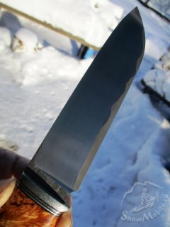 IMG_2024.JPG