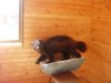 DSCN6531.JPG