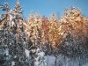 DSCF0125.jpg