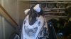 19022012630.jpg