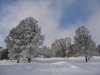 2008.03 074.jpg