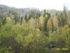 S3010019.jpg