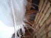 DSC04085.JPG