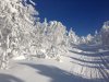 IMG_0109.JPG