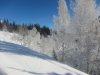 IMG_5240.JPG