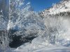 IMG_5247.JPG