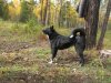 Как застопорить коленвал на буране. 469599 6ed7870d2b7e8c743f7dc298d84bd39e. Как застопорить коленвал на буране фото. Как застопорить коленвал на буране-469599 6ed7870d2b7e8c743f7dc298d84bd39e. картинка Как застопорить коленвал на буране. картинка 469599 6ed7870d2b7e8c743f7dc298d84bd39e