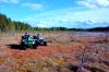 DSC_1874-11.jpg