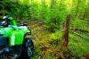 DSC_1880-11.jpg