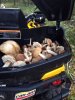 IMG-20140913-WA0008.jpg