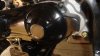 DSC01382.JPG