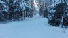 IMG_20160216_152219.jpg