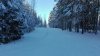 IMG_20160216_152212.jpg