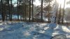 IMG_20160216_153720.jpg