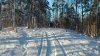 IMG_20160216_153726.jpg