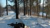 IMG_20160216_153703.jpg