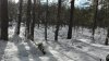 IMG_20160228_134504.jpg
