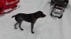 IMG_20160228_113726.jpg
