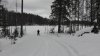 IMG_20160228_132422.jpg