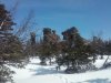 20170422_105044.jpg