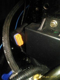 P_20171225_121836_1_p.jpg P_20171225_121836_1_p.jpg