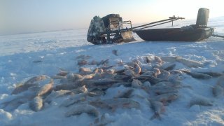 IMG_20180104_163916.jpg